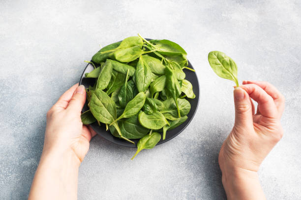 istock Spinach green fresh leaves on a black plate. Female hands holding a plate and a spinach leaf in her hand. 1303996830