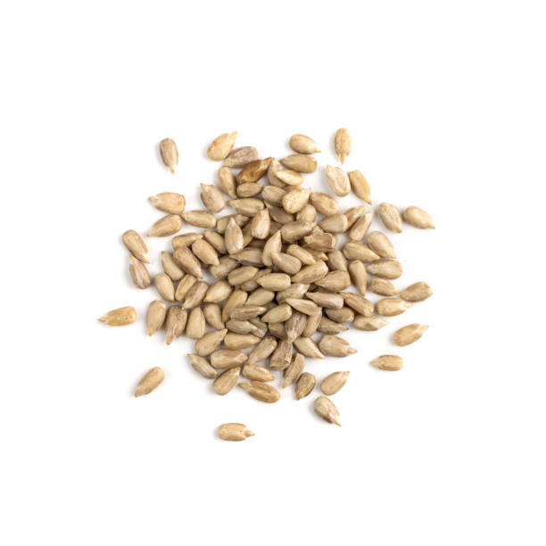 istock Pile sunflower seeds isolated on white background top view 1303998237