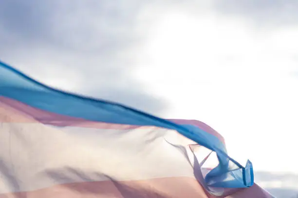 Transgender Flag Flying in the Sky with copy space
