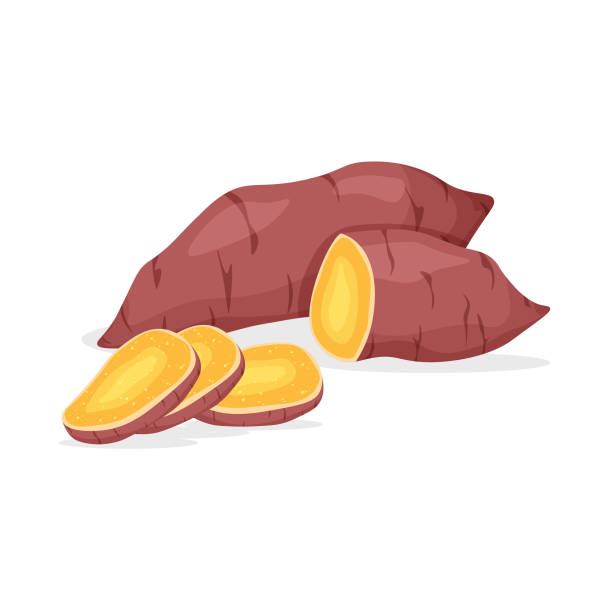 ilustrações, clipart, desenhos animados e ícones de inteiro e pedaço de batata doce isolado no fundo branco. - sweet potato