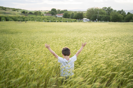 Small boy walking in grass field waving his hands