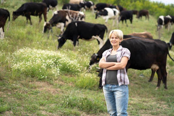 donna con le braccia incrociate in piedi davanti alla mandria di mucche - agricoltrice foto e immagini stock