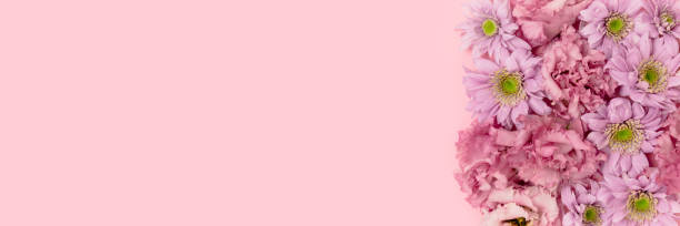 istock Banner with pink eustoma and aster flowers texture. 1304002639
