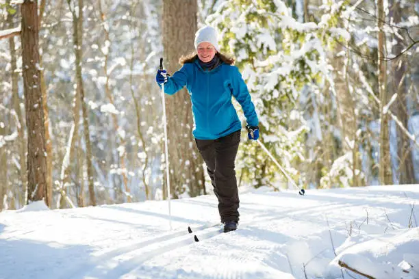 Winter sport in Finland - cross-country skiing. Pregnant woman skiing in sunny winter forest covered with snow. Active people outdoors. Scenic peaceful Finnish landscape.