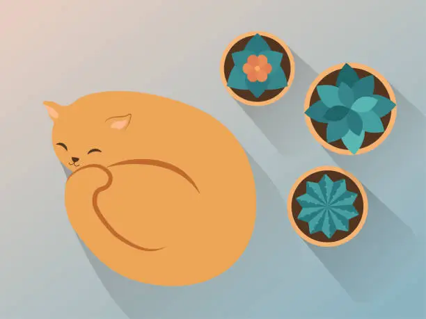 Vector illustration of The cat sleeps near flower pots