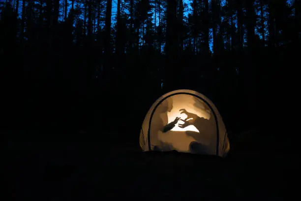 Photo of Children making shadow puppets in a camping tent at night