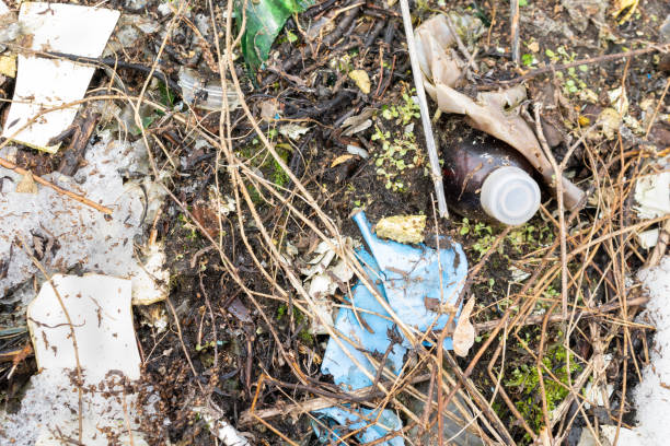 istock wild garbage dump. residual glass, plastics in the forest 1304010007