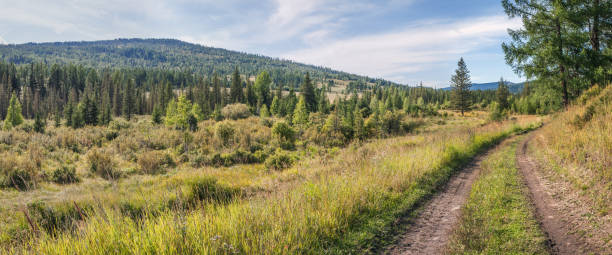 istock Panoramic view of countryside road, meadow and forest 1304012153