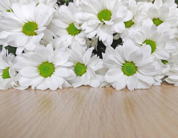 istock White flowers on a light wooden background. 1304013561