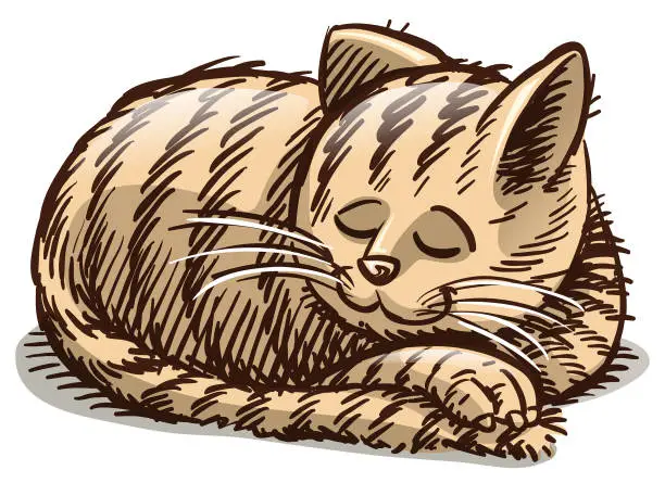 Vector illustration of cat cartoons