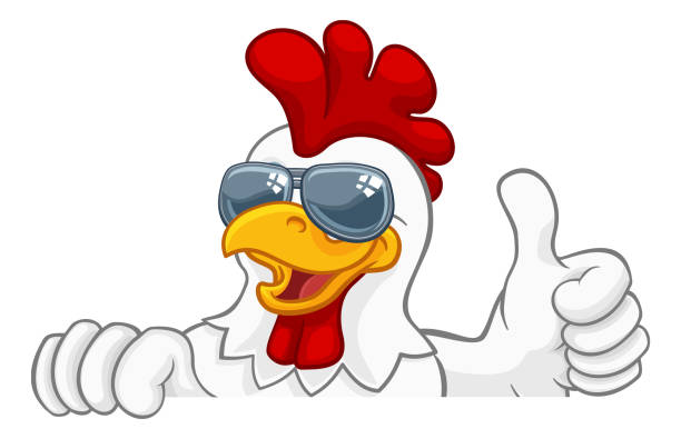 Chicken Rooster Cockerel Bird Sunglasses Cartoon A chicken rooster cockerel bird cartoon character peeking over a sign and giving a thumbs up chicken thumbs up design stock illustrations