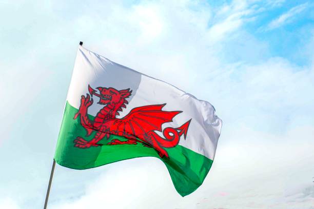 bandera galesa ondeando en el viento de gales - welsh flag flag welsh culture all european flags fotografías e imágenes de stock