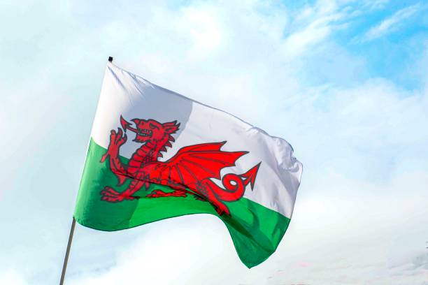 welsh flag blowing in the  wind   wales - welsh culture wales welsh flag dragon imagens e fotografias de stock