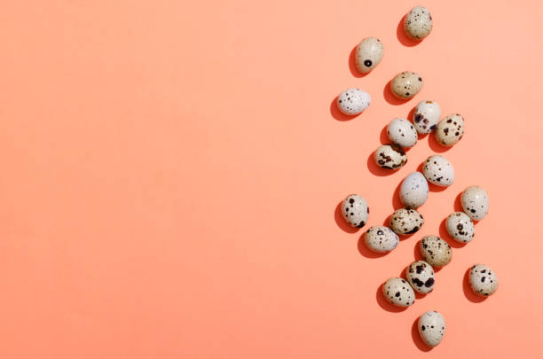 istock Top view of fresh quail eggs on the orange background.Bright and sunny 1304021809