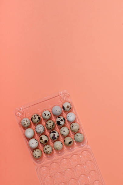 istock Top view of plastic container full of quail eggs on the orange background.Empty space 1304021907