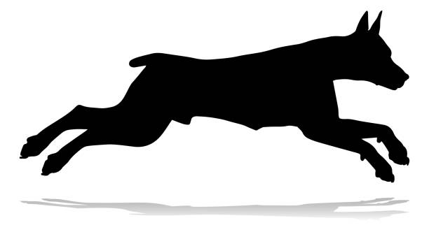 pies sylwetka zwierzę - agility stock illustrations