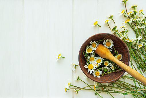 Fresh chamomile flowers in wooden pestle and mortar on white wooden background. Top view. Copy space