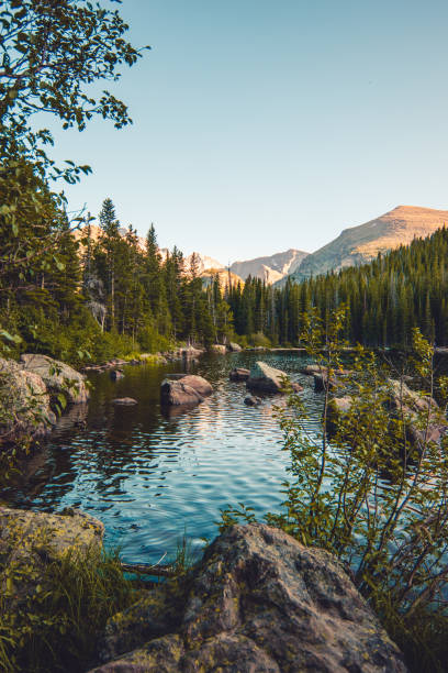 lago nas montanhas - colorado coniferous tree mountain range mountain - fotografias e filmes do acervo