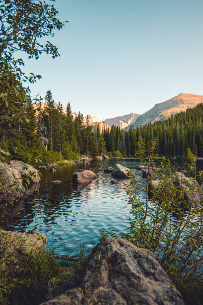 озеро в горах - evergreen tree фотографии стоковые фото и изображения