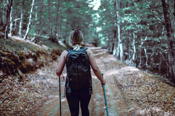 istock Rear View Of Female Hiker Setting Out On Footpath Through Forest During Dusk 1304031694