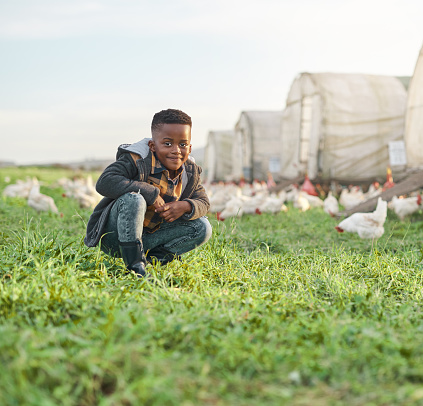 Shot of a cute little boy having fun on a chicken farm