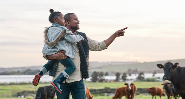 The simplest life makes the sweetest memories Shot of a mature man carrying his adorable daughter on a cow farm animal related occupation stock pictures, royalty-free photos & images