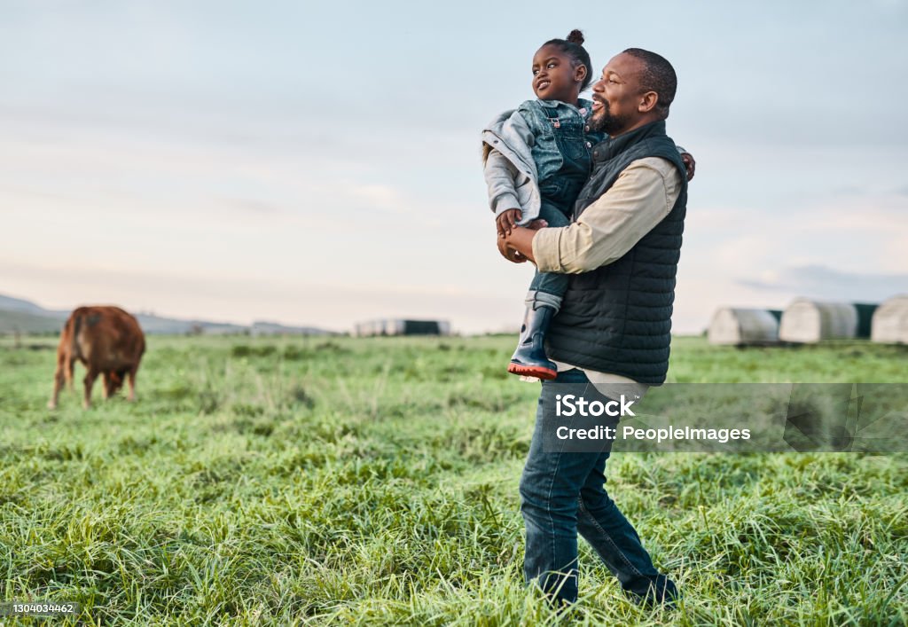 Nothing says family-friendly like an outing to the farm Shot of a mature man carrying his adorable daughter on a cow farm Family Stock Photo