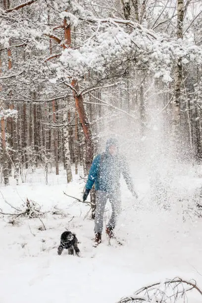 January 30, 2021 - Poland: Snow shower in winter wonderland forest - man shaking a pine tree and having a snow shower, arms at sides, face obscured, with a puppy pet dog.