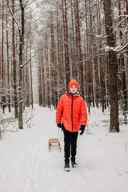 January 30, 2021 - Poland: Teenager boy in red warm jacket and hat walking in deep snow in forest pulling a sledge, looking away frowning, being healthy, enjoying winter activities.