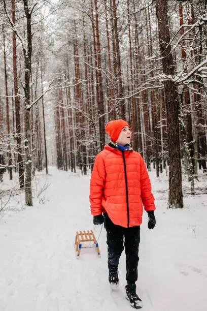 January 30, 2021 - Poland: Handsome teen boy in red jacket, hat walking in fairytale idyllic winter forest, deep snow, pulling a sleigh, frowning, rosy cheeks, tired, being healthy.