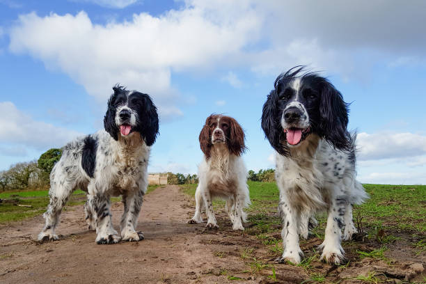 istock Here come the girls! 1304038246