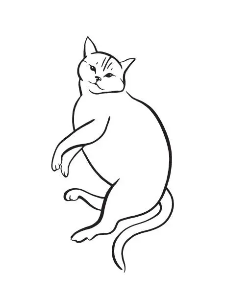Vector illustration of Cute cat lying relaxed