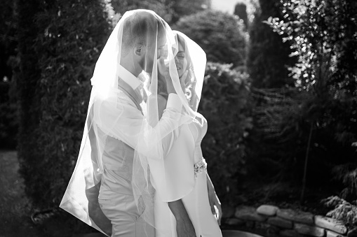 under the veil Happy and beautiful bride and groom gently cuddle in the park. In love couple at a wedding photo shoot in the garden.