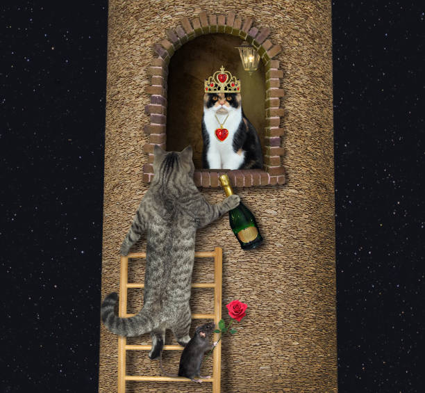 istock Cat gray with wine climbs ladder 1304039634