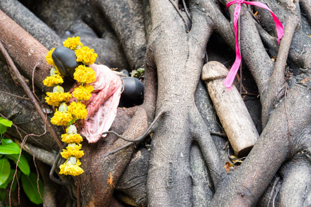 Chao Mae Tuptim phallic shrine, Bangkok Marigold flowers on phallus shape wooden figure left near trees in Chao Mae Tuptim phallic shrine, Bangkok, Thailand phallus shaped stock pictures, royalty-free photos & images