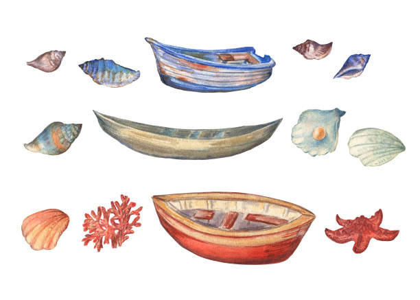 Watercolor clip art of wooden boats, corals, starfish and seashells on white isolated background. Beautiful watercolor painting of the sea treasures.For products design, stationery, stickers and more. shell starfish orange sea stock illustrations