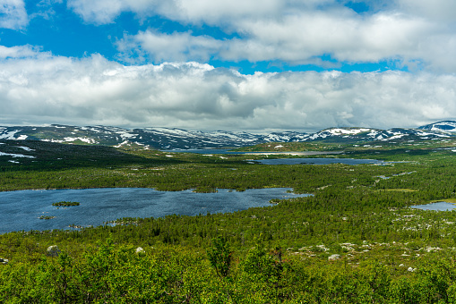 Beautiful nature view of the vastness of the Swedish highlands, with snow covered mountain tops, lakes and low growing green trees in summer sunlight