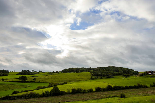 istock eifel hilly landscape , field meadow atmospheric 1304046437