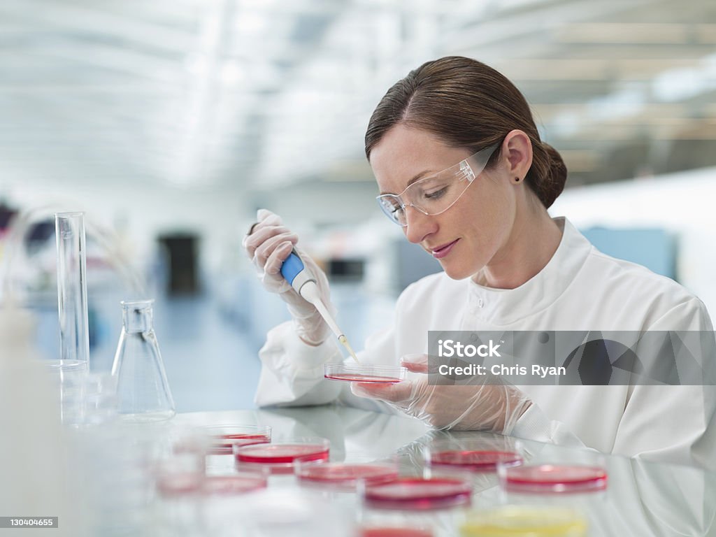 Cientista colocando líquidos em laboratório pratos de petri - Foto de stock de Disco de Petri royalty-free