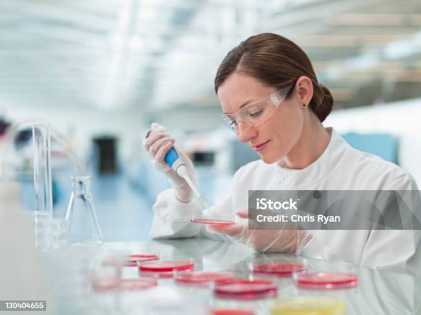 Foto de Cientista Colocando Líquidos Em Laboratório Pratos De Petri e mais fotos de stock de Disco de Petri