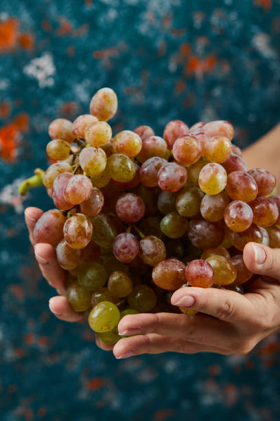 istock Fresh red grapes in hand on blue background 1304046586