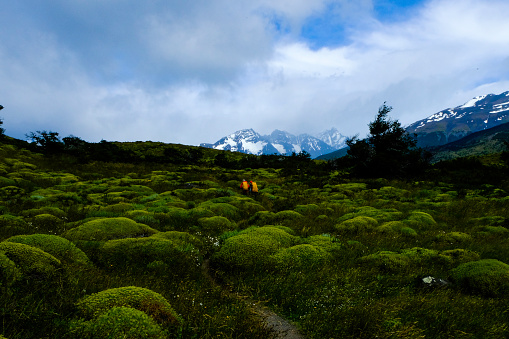 moss-covered stones and grass overlooking the Patagonian Andes. The two hikers convey the dimension.