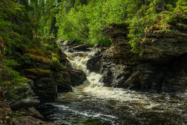 istock Creek in northern Sweden flushing through eroded rocks 1304046953