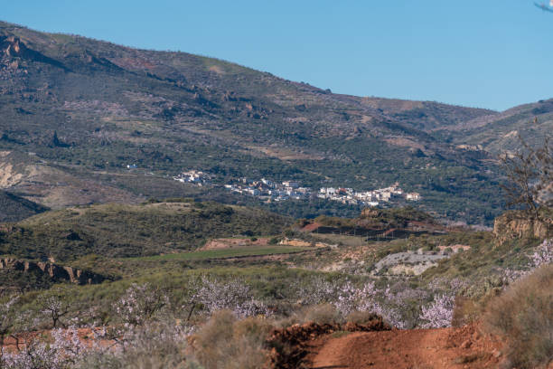 istock mountainous landscape in southern Spain 1304048238