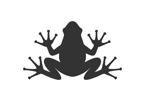 Frog graphic icon. Frog black sign isolated on white background. Vector illustration
