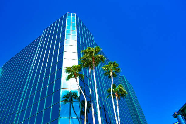 istock Corner Glass Office Building and Palm Trees 1304049404