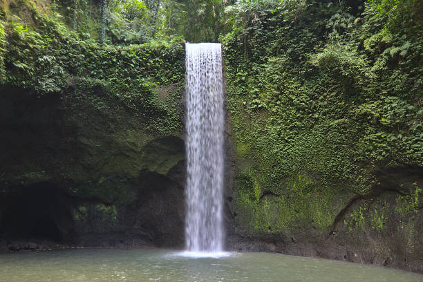 istock Waterfall in Ubud, Bali, Indonesia 1304049849