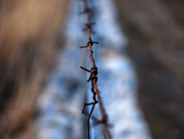 Fences Wire fence close-up french civil protection stock pictures, royalty-free photos & images