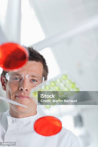 Científico De Examinar Las Placas De Petri En El Laboratorio Foto de stock y más banco de imágenes de Ciencia