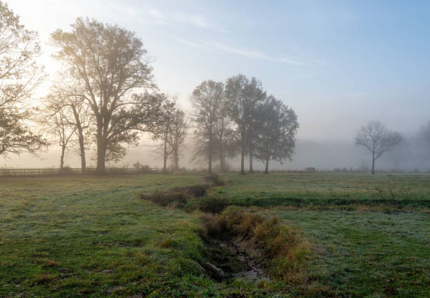 istock Misty Meadows in the Morning 1304053392